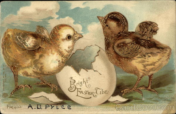 Bright Easter-Tide With Chicks