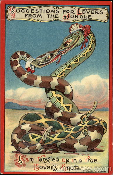 Suggestions For Lovers From The Jungle Snakes & Reptiles