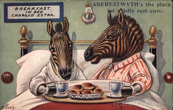 Zebras Breakfast in Bed William Henry Ellam