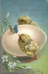 A Glad Eastertide With Chicks Postcard Postcard