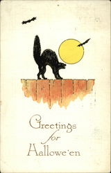 Greetings for Halloween - Black Cat on a Fence Postcard