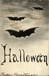 Halloween Bats Postcard
