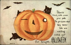 Halloween Greeting with Pumpkin and Black Cats Postcard