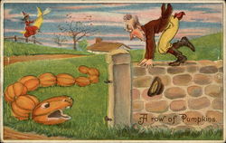 A Row of Pumpkins Postcard