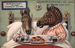 Zebras Breakfast in Bed Postcard Postcard