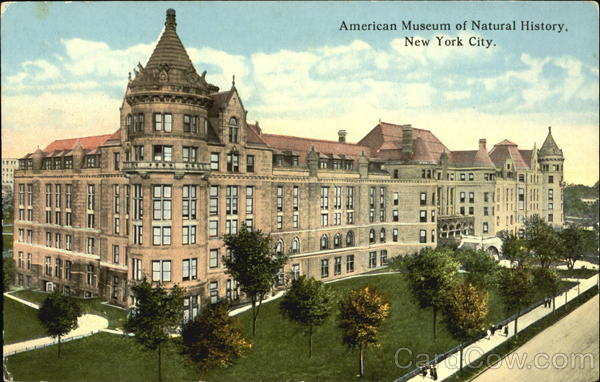 American Museum Of Natural History New York