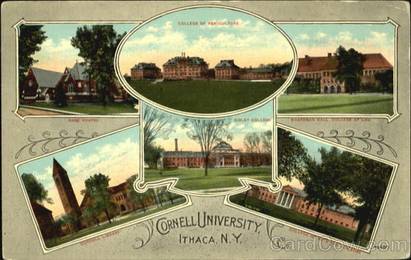 Cornell University Ithaca New York
