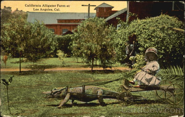 California Alligator Farm Los Angeles