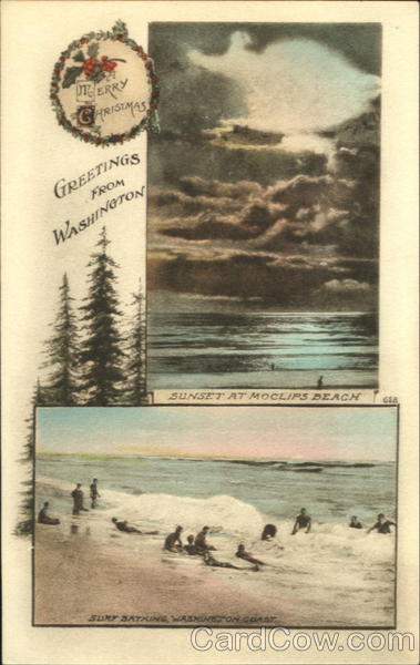 Greetings From Washington - Merry Christmas