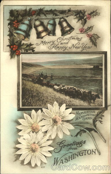 Merry Christmas And Happy New Year Washington