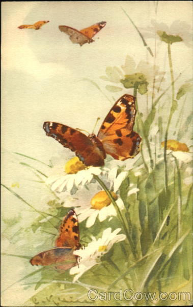 Butterflies C. Klein Flowers
