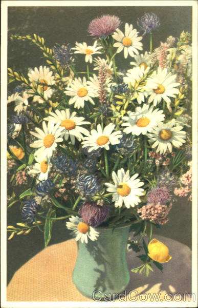 Flores Agrorum Flowers