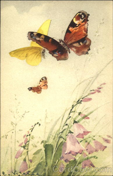 Butterflies C. Klein