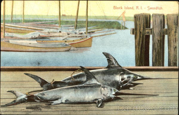 Block Island Swordfish Rhode Island