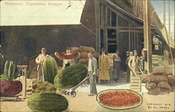 Mammoth Vegetables Postcard