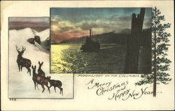 Moonlight On The Columbia Postcard