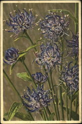 Ralponce Orbiculaire Postcard