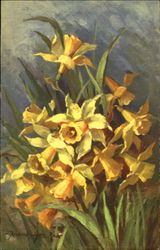 Jonquilles Postcard