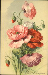 Pink Flowers C. Klein Postcard Postcard