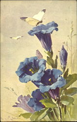 Blue Flowers, Butterflies C. Klein Postcard Postcard