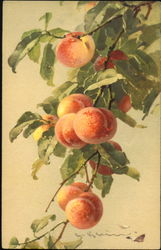Peaches Postcard