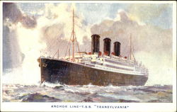 Anchor Line T. S. S. Transylvania Postcard