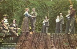 Dancing On The Stump Postcard