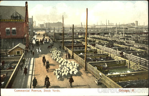 Commercial Avenue Stock Yards Chicago Illinois