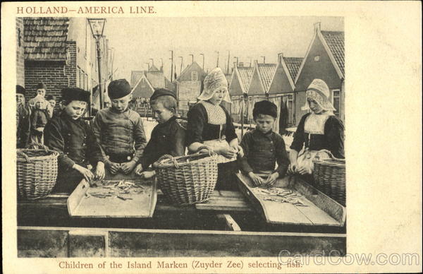 Holland America Line Children
