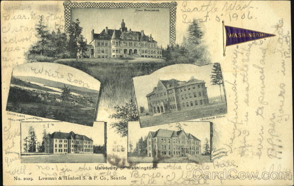 University Of Washington Seattle