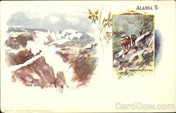 Muir Glacier Packing Over The Hill Alaska