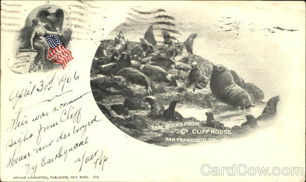 Seal Rocks From Cliff House San Francisco California