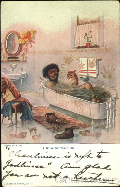 A New Sensation Black Americana