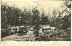 Joe Creek Pacific Beach, WA Postcard Postcard