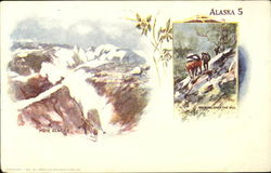 Muir Glacier Packing Over The Hill Alaska Postcard Postcard