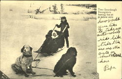 Two Sourdough Youngsters Having Fun At 30 Below Zero Postcard