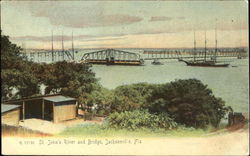 St. John's River And Bridge Postcard