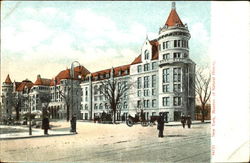 Museum Of Natural History Postcard