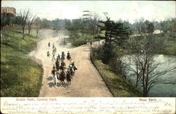 Bridle Path, Central Park Postcard