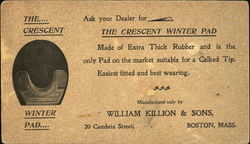 Crescent Winter Pad Postcard