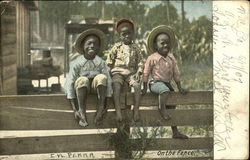 On The Fence Black Americana Postcard Postcard