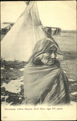 Chickasaw Indian Squaw Aunt Kate Native Americana Postcard Postcard