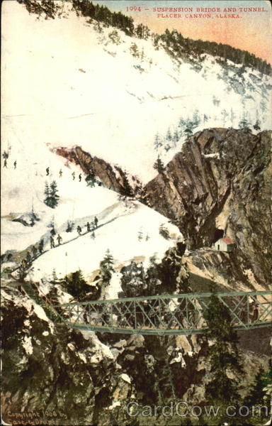 Suspension Bridge And Tunnel Placer Canyon Alaska