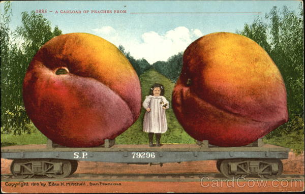 A Carload Of Peaches Exaggeration