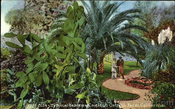 Tropical Gardens Cawston Ostrich Farm California