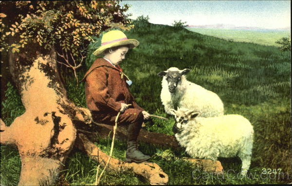 Boy with Sheep