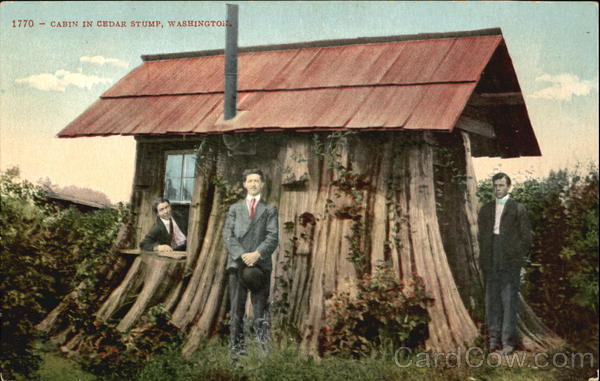 Cabin In Cedar Stump Washington