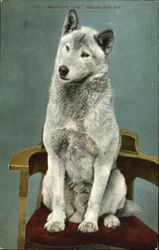 Stock #187699 Thumbnail