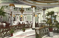 Laurel Court Tea Room Fairmont Hotel San Francisco, CA Postcard Postcard