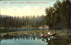 Among The Water Lilies, Spirit Lake Spokane, WA Postcard Postcard